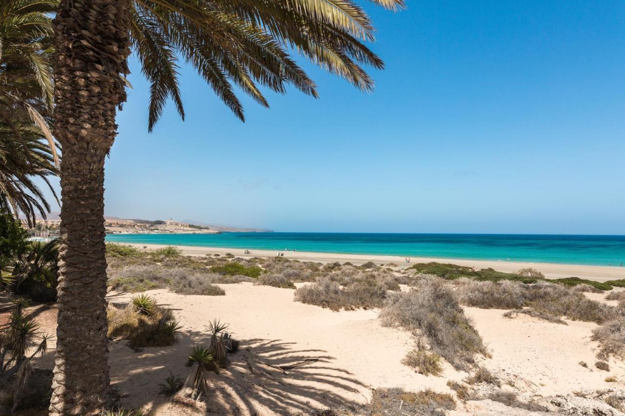 Home2Book Oasis Paradise Home Fuerteventura Corralejo Eksteriør billede