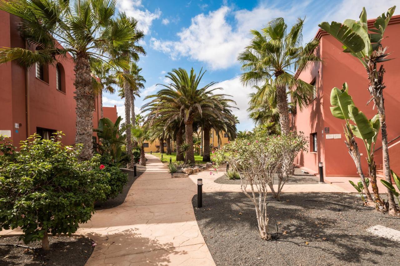 Home2Book Oasis Paradise Home Fuerteventura Corralejo Eksteriør billede